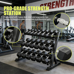 W5072S00007 Rovix 450-Pounds Rubber Hex Dumbbell Set With Rack by SAKSBY WHOLESALE