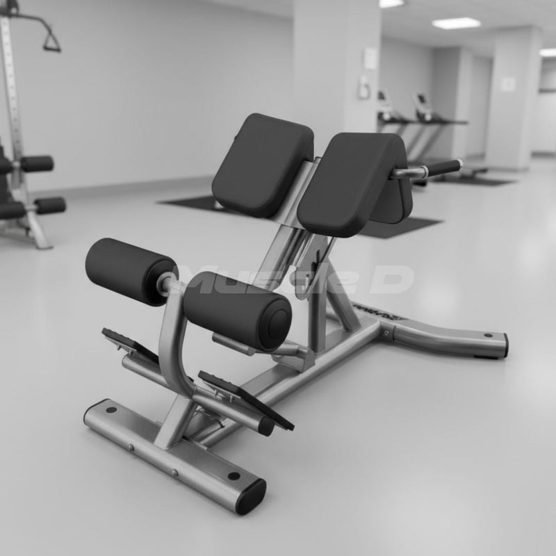 Back Extension Bench by Muscle D Fitness