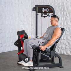 Muscle D Fitness Classic V2 selectorized leg extension machine with padded seat and adjustable resistance for leg workouts.