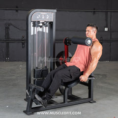Muscle D Fitness Classic V2 selectorized back and ab combo machine with padded seat and adjustable weights for core training.