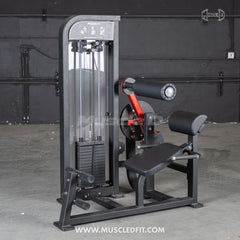 Muscle D Fitness Classic V2 selectorized back and ab combo machine with adjustable weights and padded seat for core workouts.
