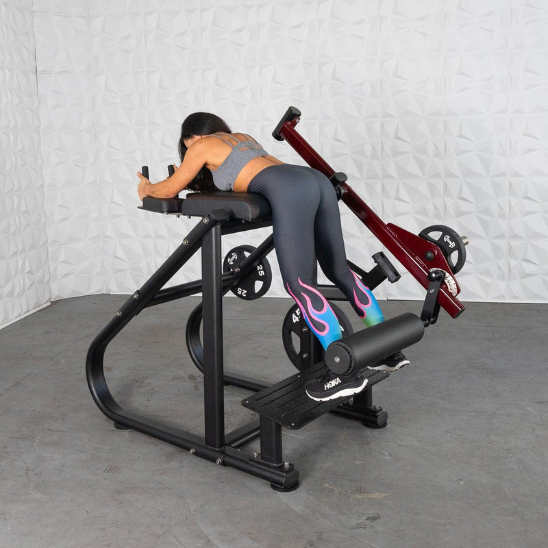 Pro Strength Reverse Hyper by Muscle D Fitness