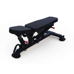Vertical Flat to Incline Bench by Muscle D Fitness