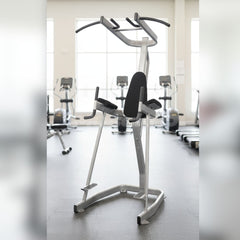 Vertical Knee Raise with Pull Up Station - Muscle D Fitness - Commercial
