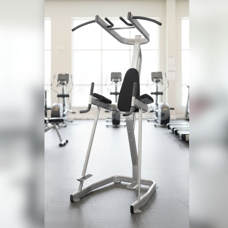 Vertical Knee Raise with Pull Up Station by Muscle D Fitness