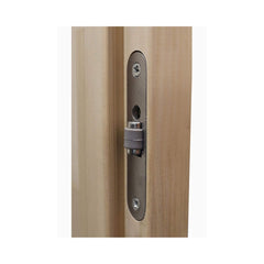 Prosaunas Aspen 24x81 inch prehung clear glass sauna door with roller latch by SAKSBY WHOLESALE