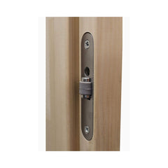 Prosaunas Aspen 24x73-inch prehung tinted glass sauna door by SAKSBY WHOLESALE with roller catch and modern design