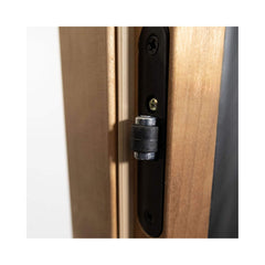 SAKSBY WHOLESALE Prosaunas 24x73 Thermo-Aspen clear glass sauna door with roller latch, prehung for easy installation